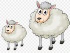 Овцы,телята объявление продам