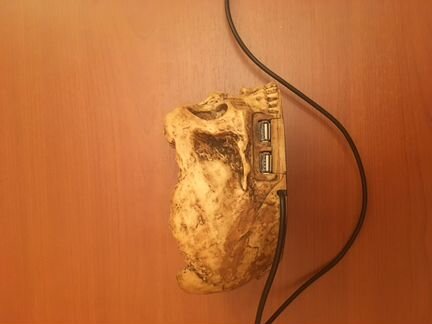 Череп USB адаптер